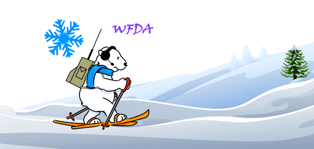 winter field day bear skiing with radio backpack